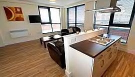 Spacious 1 Bedroom Apartment - Fully Equipped in Honolulu, HI