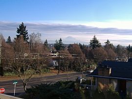 Spacious 1 Bedroom Apartment with View in West Seattle - $690 in Seattle, WA