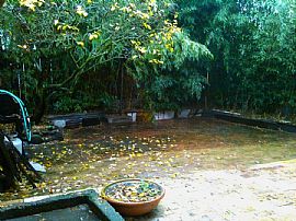 Elegant 2 BR, 1 BA Apartment - in The Alberta Arts District! in Portland, OR (Photo 8 of 12)