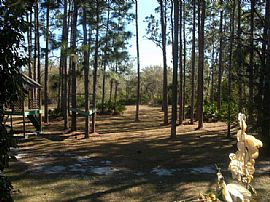 Beautiful 3 Bedroom Pool Home Available Immediately in Crystal River, FL (Photo 4 of 7)