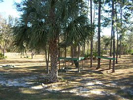 Beautiful 3 Bedroom Pool Home Available Immediately in Crystal River, FL (Photo 5 of 7)