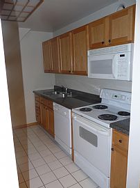 Spacious Printer's Row 1 BR, 1 BA + Den Condo with Elfa Closets in Chicago, IL (Photo 4 of 8)
