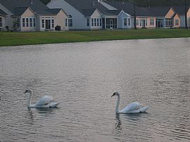 Prestigious 3 Bedroom Home on The Lake in Linksbrook in Murrells Inlet, SC (Photo 4 of 4)
