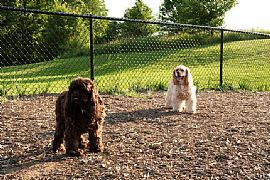 Spectacular 2 Bedroom Apartment Homes Available!! in Kingstowne, VA (Photo 7 of 9)