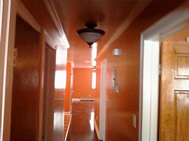 Newly Renovated 3 Bedroom Apartment with New Appliances in Jamaica, NY (Photo 3 of 5)