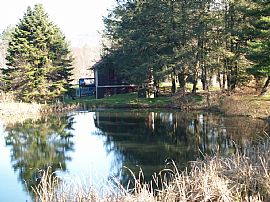 Charming 1800's Magical Country Farmhouse on 25 Acres in West Pittston, PA (Photo 2 of 12)