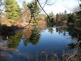 Charming 1800's Magical Country Farmhouse on 25 Acres in West Pittston, PA (Photo 8 of 12)