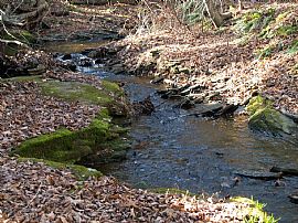 Charming 1800's Magical Country Farmhouse on 25 Acres in West Pittston, PA (Photo 9 of 12)