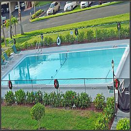 Spacious 2 Bedroom Condo with Golf Course View! in Seminole, FL (Photo 7 of 7)