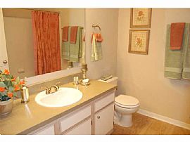 Lovely Apt High-Rise 1bd Available in Honolulu, HI (Photo 3 of 9)