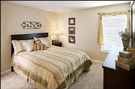 Luxury 1 Bedroom Unit at The Metropolitan Apartments  in Nashville, TN (Photo 4 of 5)