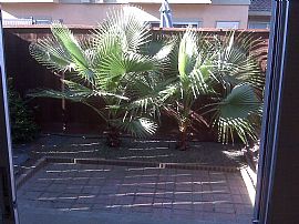 Recently Renovated 2 Bedroom Townhouse with New Carpet in Modesto, CA (Photo 3 of 3)