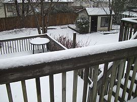 Beautiful 3 BR, 2 BA Raised Ranch Home with Privacy Fence.   in Bloomingdale, IL (Photo 7 of 7)