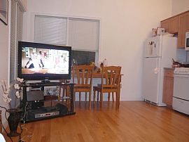 Modern 1 BR, 1 BA Apartment - Starting Feb. 1 - No Fees in Somerville, MA