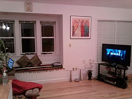 Modern 1 BR, 1 BA Apartment - Starting Feb. 1 - No Fees in Somerville, MA (Photo 3 of 9)