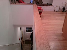 Modern 1 BR, 1 BA Apartment - Starting Feb. 1 - No Fees in Somerville, MA (Photo 4 of 9)