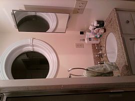 Modern 1 BR, 1 BA Apartment - Starting Feb. 1 - No Fees in Somerville, MA (Photo 7 of 9)