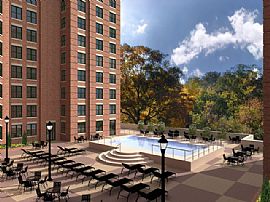 1 Bedroom University View Apartment- Decreased Rate! in College Park, MD