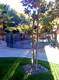 Beautiful 2 BR, 2.5 BA Home with Tropical Oasis and Waterfall! in Las Vegas, NV