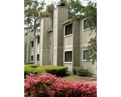 Serene 1 Bedroom Apartment at Sinclair Apartments in Norcross, GA (Photo 1 of 5)