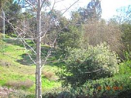 Delightful 3 BR, 2.5 BA Family Home in Immaculate Condition in Escondido, CA (Photo 6 of 6)