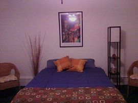 Large Sunny Room - Partially Furnished in South Side Slopes in Pittsburgh, PA