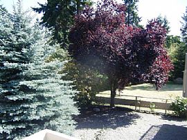 Charming 2 BR, 3 BA Home in Private Setting on Over 1 Acre in Camano Island, WA (Photo 3 of 5)