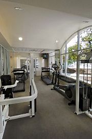 Pet Friendly - Now Accepting Dogs! in Thousand Oaks, CA (Photo 5 of 5)