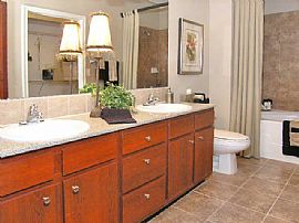 Large 1 Bedroom Apartment  in Houston, TX (Photo 11 of 11)