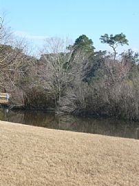 Beautiful 4 Bedroom Pool Home with Spacious Family Room!! in Valrico, FL (Photo 11 of 11)