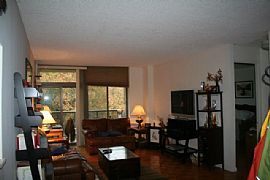 Enjoy Luxury Suburb Apartment with Easy Access to NYC  in Larchmont, NY (Photo 2 of 6)