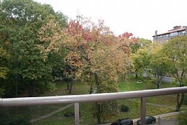 Enjoy Luxury Suburb Apartment with Easy Access to NYC  in Larchmont, NY (Photo 3 of 6)