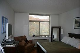 Enjoy Luxury Suburb Apartment with Easy Access to NYC  in Larchmont, NY (Photo 4 of 6)