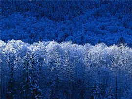 Excellent 2 Bedroom Apartment with Balcony and Club House in Lawrenceville, GA (Photo 3 of 7)