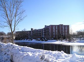 Affordable Studio - 1 BR and 2 BR Apartments! Available Now! in West Roxbury, MA