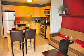 Exquisite 1 Bedroom Studio - In-Unit W/D - 2 Months Free in Chicago, IL (Photo 1 of 2)