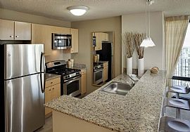 Exquisite 1 Bedroom Studio - In-Unit W/D - 2 Months Free in Chicago, IL