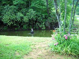 Lovely 3 Bedroom Tree Top Home with Beautiful Wood Trim in Franklin, NC (Photo 3 of 6)