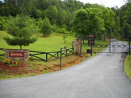 Lovely 3 Bedroom Tree Top Home with Beautiful Wood Trim in Franklin, NC (Photo 4 of 6)