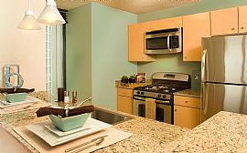 Amazing 1 BR, 1 BA Apartment with Hardwood Floors in Chicago, IL