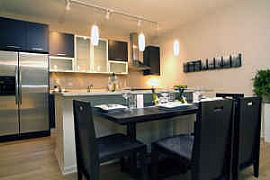Amazing 1 BR, 1 BA Apartment with Gourmet Kitchen in Chicago, IL