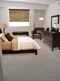 1 Br 1 Bath in Beautiful Downtown Chaska Mn. in Chaska, MN (Photo 3 of 5)