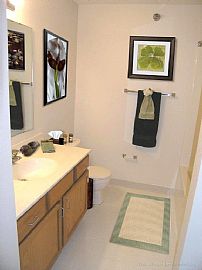 1 Br 1 Bath in Beautiful Downtown Chaska Mn. in Chaska, MN (Photo 5 of 5)