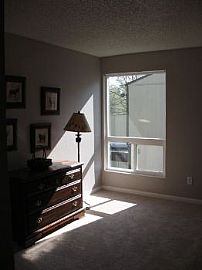 Remodeled Twnhm - Fp, Patio, W/d in Denver, CO (Photo 4 of 5)