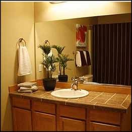 Beautiful 3 Bedroom Townhouse with Great Neighbors in Tacoma, WA (Photo 4 of 4)