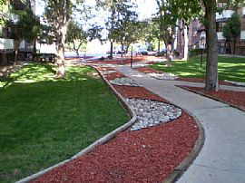 Grand 1 Bedroom Apartment with HUGE Private Balcony  in Denver, CO (Photo 10 of 12)