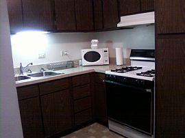 Amazing 1 Bedroom Plus Den with 1.5 Bathroom!!! in Hoffman Estates, IL (Photo 8 of 11)