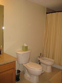 Super Sharp 1 Bedroom Condo with Great View  in Miami, FL (Photo 3 of 10)