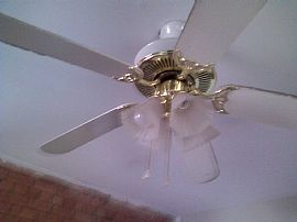 Lovely 2 Bedroom Apartment with Hardwood Floor in Washington, DC (Photo 6 of 6)