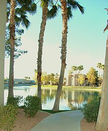 Perfect 1 Bedroom Condo in Upscale, Gated Community in Chandler, AZ (Photo 3 of 6)